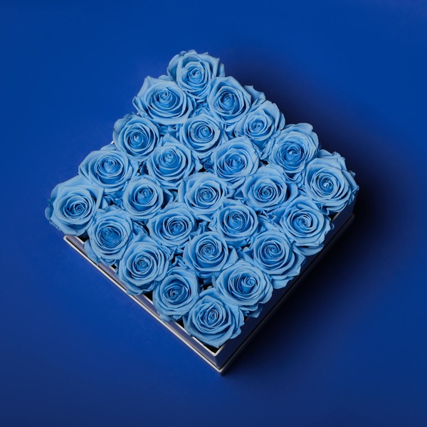 25 Preserved Baby Blue Roses in Black Box Infinity Roses