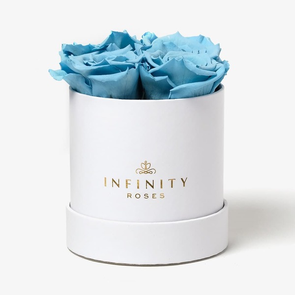 4 Baby Blue Preserved Roses in White Box Infinity Roses