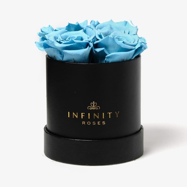 4 Preserved Baby Blue Roses in Black Box Infinity Roses