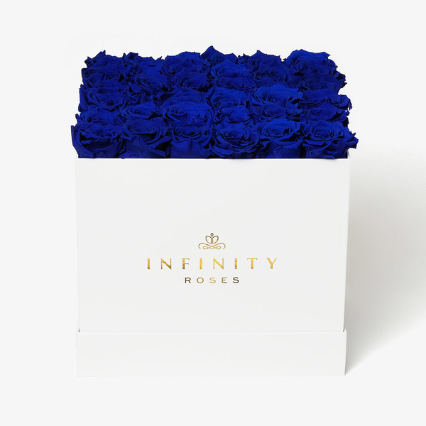 36 Royal Blue Preserved Roses in White Box Infinity Roses