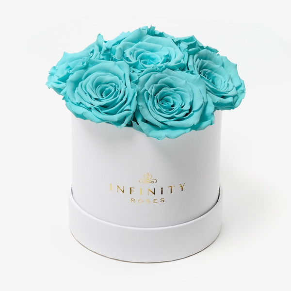 7 Tiffany Blue Preserved Roses in a Round White Box Infinity Roses