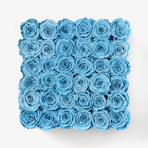 36 Royal Blue Preserved Roses in Black Box Infinity Roses
