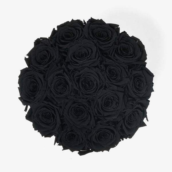 16 Black Preserved Roses in a Round Black Box Infinity Roses