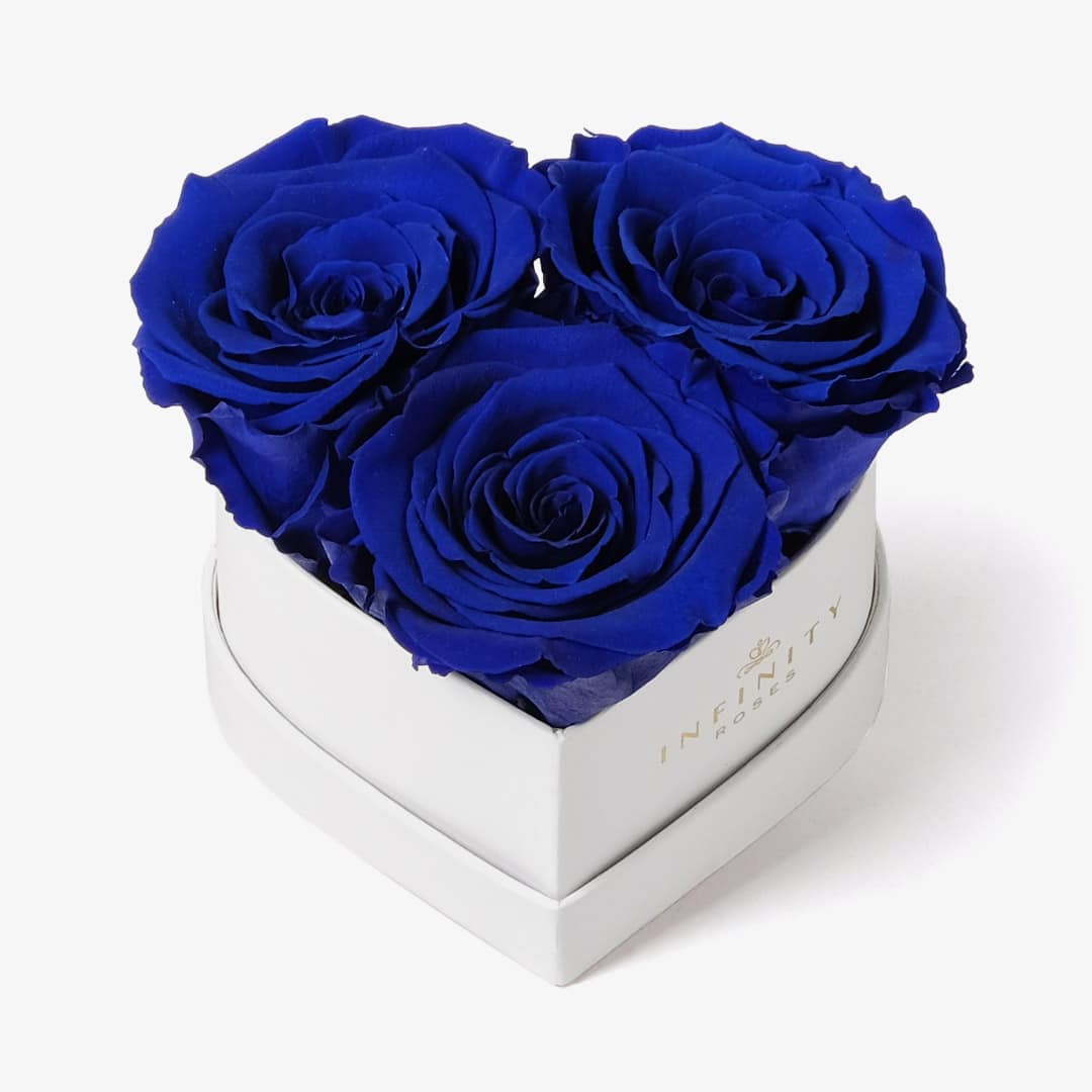 Infinity Roses | Large Bloom Ombre