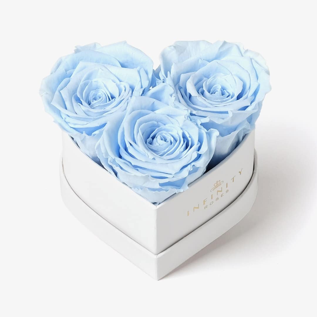 Infinity Roses | Medium Bloom Rose Box